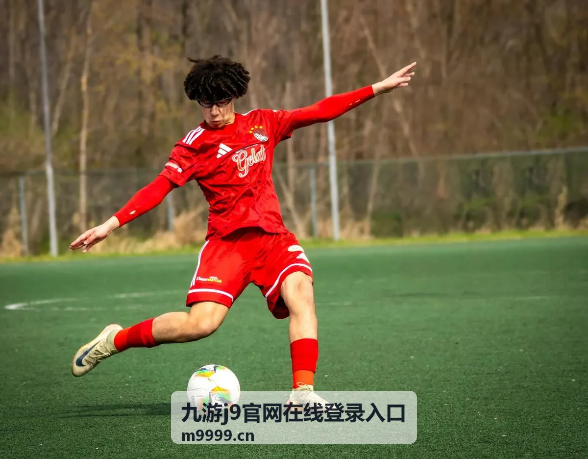 九游j9官网在线登录入口的账号安全与验证提示